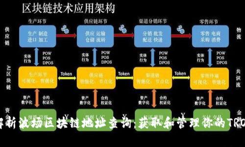 深入解析波场区块链地址查询：获取和管理你的TRON资产