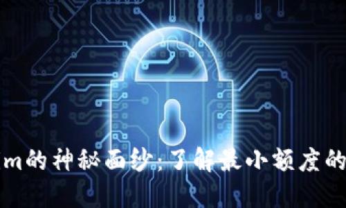 揭开Tokenim的神秘面纱：了解最小额度的意义与应用
