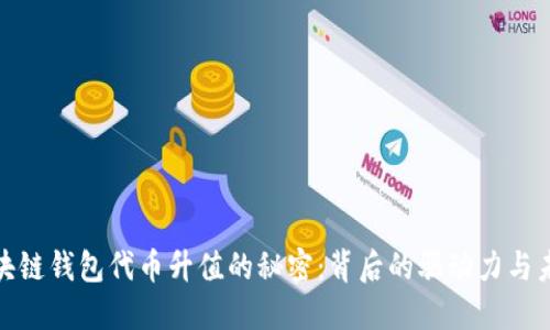 探秘区块链钱包代币升值的秘密：背后的驱动力与未来趋势
