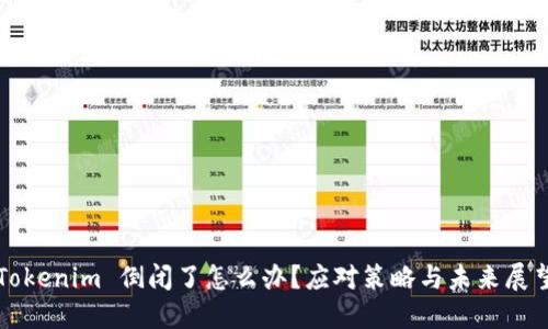 Tokenim 倒闭了怎么办？应对策略与未来展望