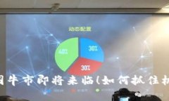 币圈牛市即将来临！如何抓住机会？