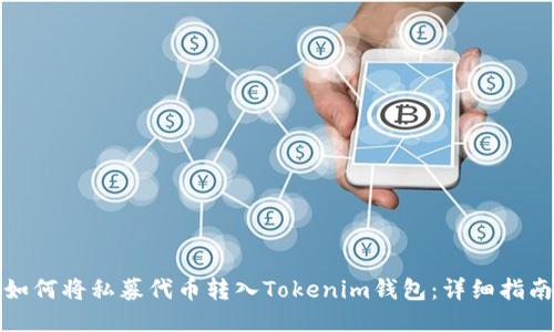 如何将私募代币转入Tokenim钱包：详细指南