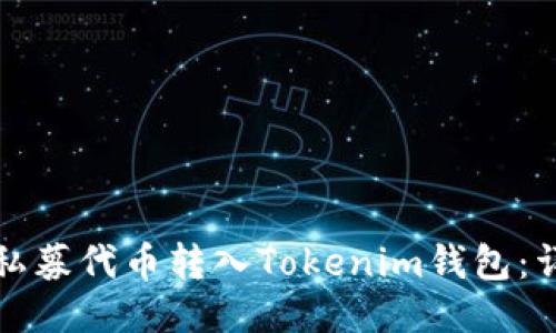 如何将私募代币转入Tokenim钱包：详细指南