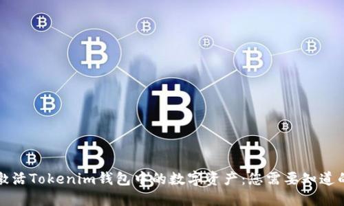 如何激活Tokenim钱包中的数字资产：您需要知道的一切