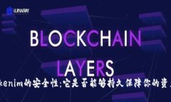 探索Tokenim的安全性：它是否能够持久保障你的资