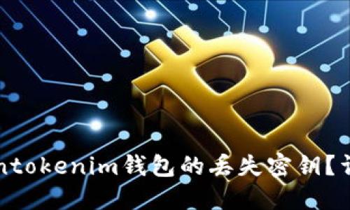 如何找回Tokentokenim钱包的丢失密钥？详解步骤与方法