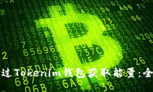 如何通过Tokenim钱包获取能量：全面指南