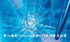 深入剖析Tokenim质押DOT的风险与机遇