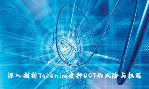 深入剖析Tokenim质押DOT的风险与机遇