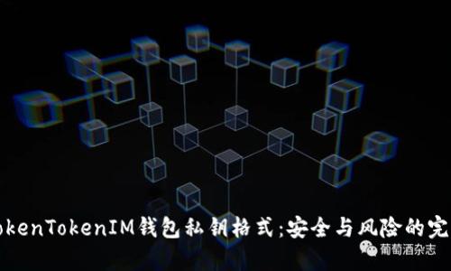 解析TokenTokenIM钱包私钥格式：安全与风险的完美平衡