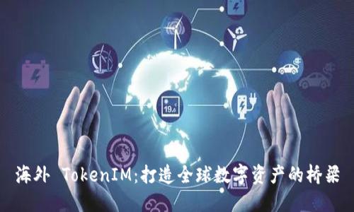 海外 TokenIM：打造全球数字资产的桥梁