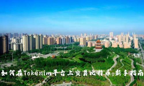 如何在Tokenim平台上交易比特币：新手指南
