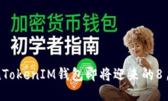 揭秘：TokenTokenIM钱包即将迎来的8月空投活动！