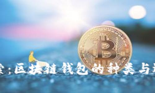 深入探索：区块链钱包的种类与选择指南