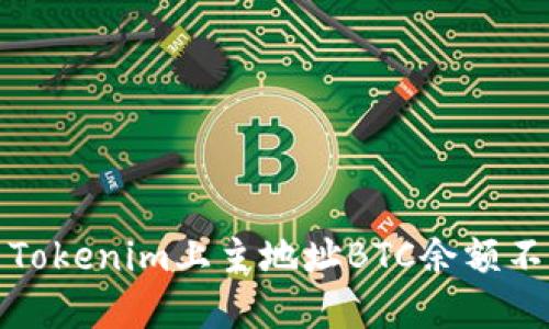 如何解决Tokenim上主地址BTC余额不足的问题