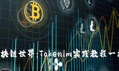  畅游区块链世界：Tokenim实践教程一站式学习