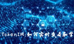 深入了解TokenIM：如何实时查看和掌握其动态