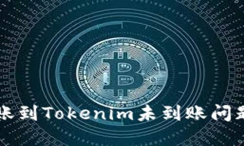 解决火币转账到Tokenim未到账问题的全面指南