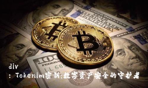 div
: Tokenim密钥：数字资产安全的守护者