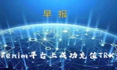 如何在Tokenim平台上成功充值TRX：完整指南