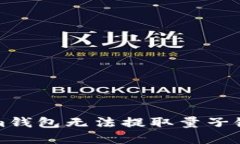 如何解决Tokenim钱包无法提取量子链问题的终极指