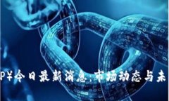 瑞波币（XRP）今日最新消息：市场动态与未来趋