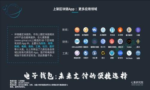 电子钱包：未来支付的便捷选择