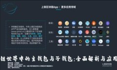 区块链世界中的主钱包与子钱包：全面解析与应