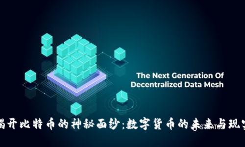 揭开比特币的神秘面纱：数字货币的未来与现实