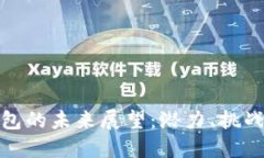 数字货币钱包的未来展望：潜力、挑战与解决方