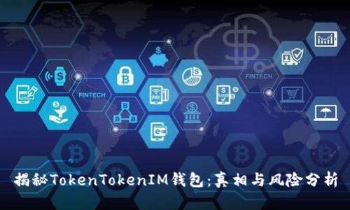 揭秘TokenTokenIM钱包：真相与风险分析