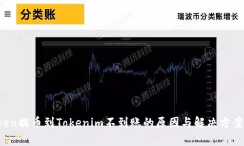 vToken提币到Tokenim不到账的原因与解决方案解析