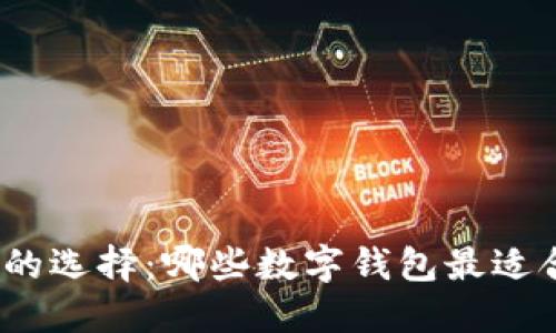 : 数字钱包的选择：哪些数字钱包最适合你的需求？