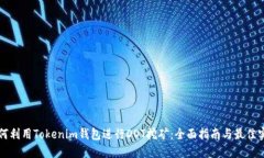 如何利用Tokenim钱包进行DOT挖矿：全面指南与最佳