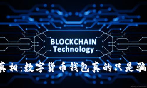 揭开真相：数字货币钱包真的只是骗局吗？