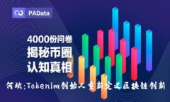 何斌：Tokenim创始人重新定义区块链创新