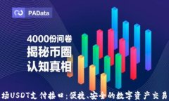 探索波场USDT支付接口：便捷、安全的数字资产交