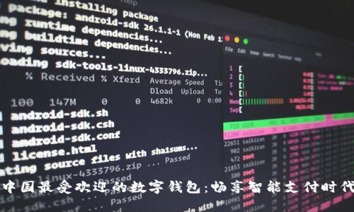 中国最受欢迎的数字钱包：畅享智能支付时代