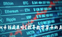 ziaoti虚拟币到底是啥？探寻数字货币的未来与内