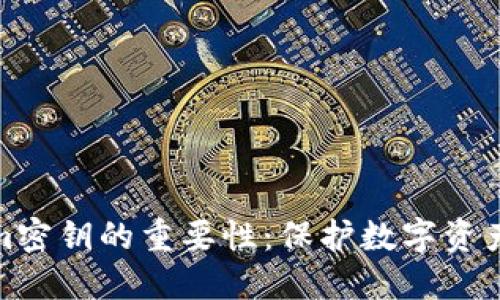 解密Tokenim密钥的重要性：保护数字资产的安全之道