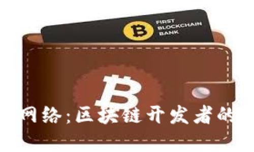Tokenim测试网络：区块链开发者的创新实践平台