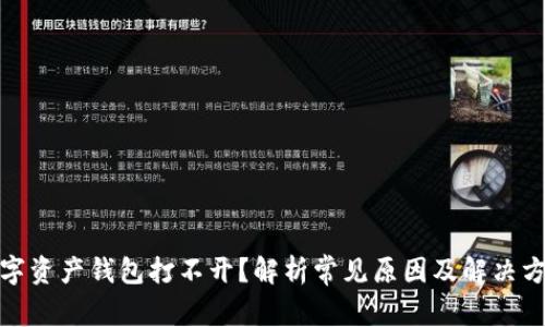 数字资产钱包打不开？解析常见原因及解决方案