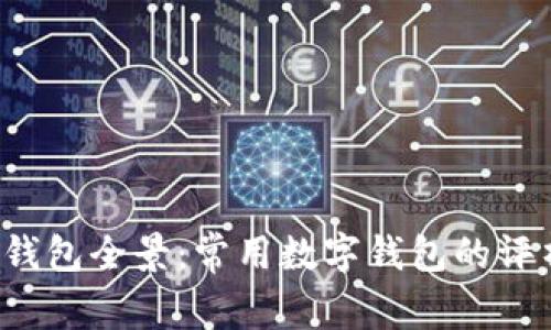 2023年数字钱包全景：常用数字钱包的评析与前景展望