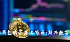 如何通过虚拟钱包购买未上市币：新兴数字货币