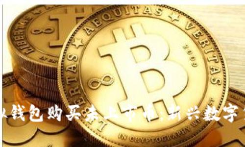 如何通过虚拟钱包购买未上市币：新兴数字货币投资指南