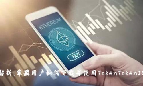 全面解析：苹果用户如何下载并使用TokenTokenIM钱包