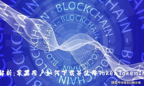 全面解析：苹果用户如何下载并使用TokenTokenIM钱包