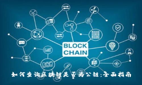如何查询区块链是否为公链：全面指南