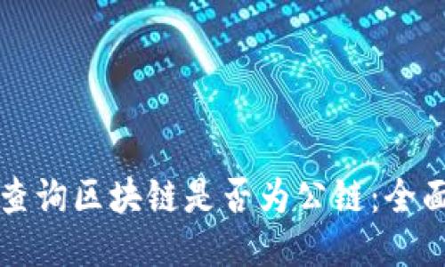 如何查询区块链是否为公链：全面指南