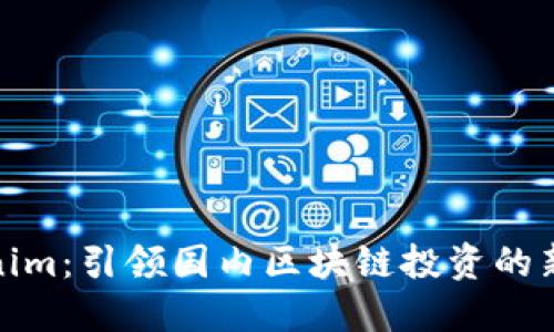Tokenim：引领国内区块链投资的新潮流